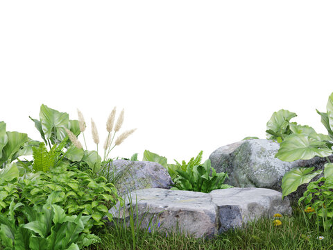 Stone platform in meadow for product presentation and on transparent background.