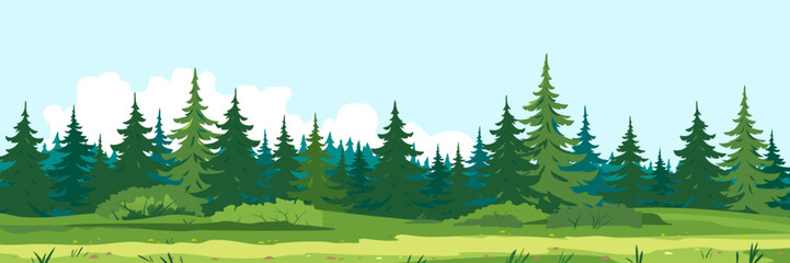 Path along spruce forest with big green trees, tourist route near the dense spruce forest and bushes in summer sunny day nature illustration background