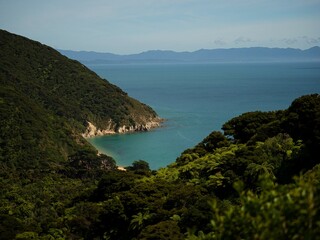 Fototapeta na wymiar Elevated view of tropical pacific ocean beach surrounded by lush green nature in Abel Tasman National Park New Zealand