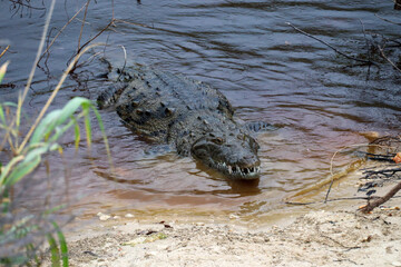 Impressions of Yucatan in Mexico