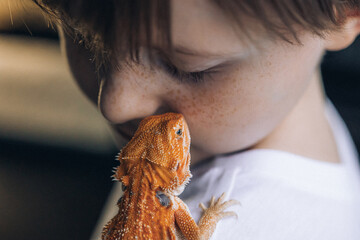 Portrait of boy with Red bearded Agama iguana. Little child playing with reptile. Selective focus....
