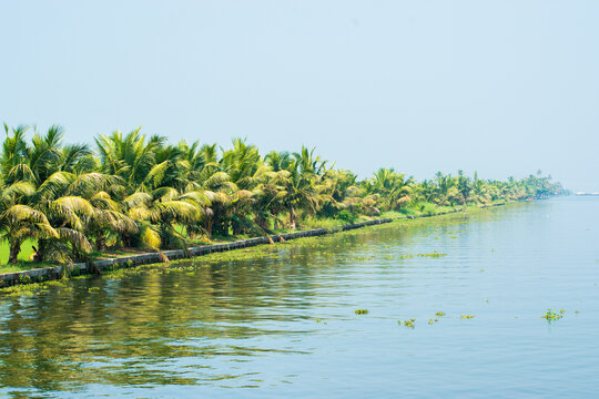 Showing beautiful backwater and coconut trees of alleppey or Alappuzha from House boat. Boat moving through the waves to the destination. 