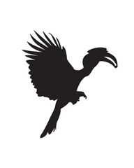 Great hornbill silhouette vector isolated. Tropical bird.