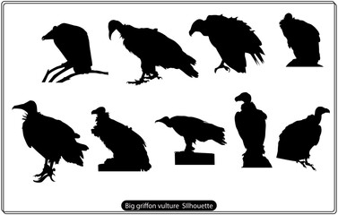 Silhouette of a flying Griffon vulture bird, scientifically known as Gyps fulvus. Vector illustration.