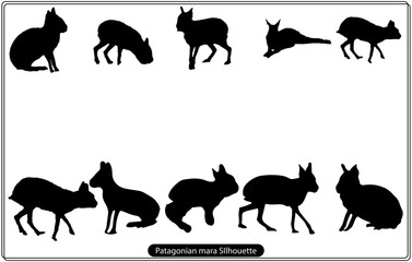 Patagonian mara silhouette vector set - obrazy, fototapety, plakaty