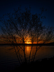 Tree Silhouette during a vibrant sunset on the Beach of Lake Bracciano, Rome, Italy