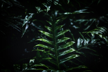 Background with fern leaves. Dense thickets of plants in the forest. Natural background with shade-loving plants.