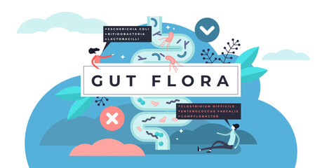 Gut flora illustration, transparent background.Flat tiny gastrointestinal microbe person concept.Abstract digestive stomach living organisms for healthy life.
