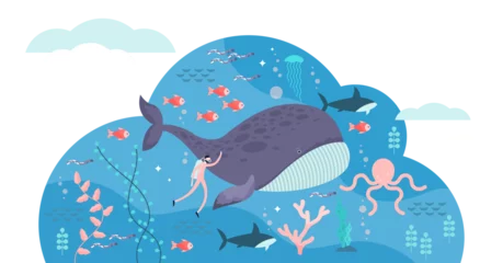 Peel and stick wall murals Whale marine life illustration, transparent background. Flat tiny sea or ocean fishes and animals visualization. Underwater wildlife with big whale. Swimming fauna exploration and research.