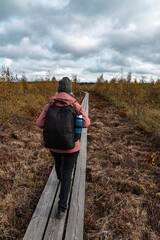 Young blonde hiker walks along a trail in Store Mosse National Park. Girl with big backpack walks...