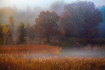 Awsome autumn landscape, colorful trees near the little lake