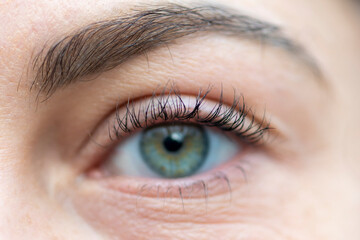 Female eyebrow and eyelashes, eye with contact lens, close-up, 