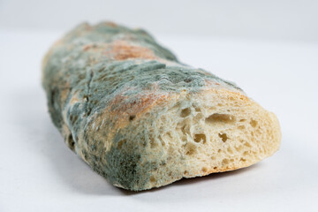 Mold on bread on a white background close-up. The danger of mold, stale products.