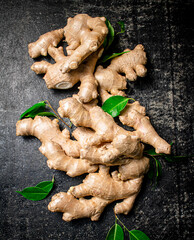 Fresh ginger root with leaves.  - 563953695
