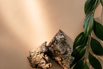 Nature composition. Eco decoration. Product showcase. Broken brown wood bark pieces green plant leaves on beige empty space background.