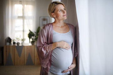 Happy pregnant woman stroking her belly, looking out of the window.