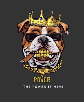 power slogan with cool dog in sunglasses and golden teeth vector illustration on black background