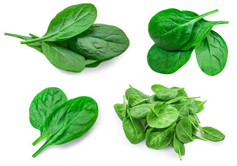 Fesh green baby spinach leaves isolated on white background. Espinach Set. Pattrn. Flat lay. Spinach Food concept.