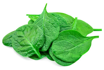 Pile of fresh green baby spinach leaves isolated on white background. Espinach Close up. Flat lay. Food concept.