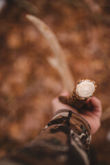 Holding Fresh Shed antler