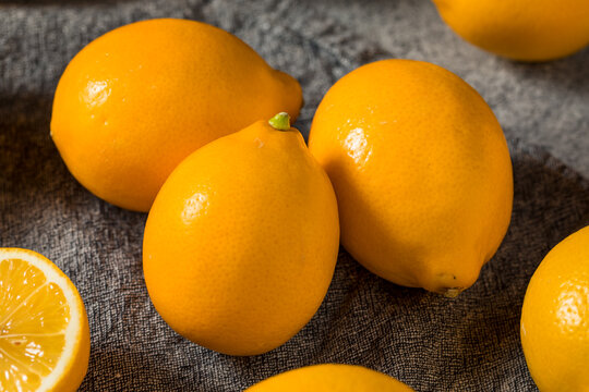Homemade Organic Yellow Meyer Lemons