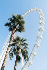 View at observation wheel with palm trees