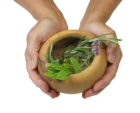 Hands cupped around wooden bowl containing rosemary mint sage and thyme fresh cut garden herbs transparent png file - Powered by Adobe