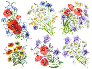 Watercolor set of meadow flowers.
