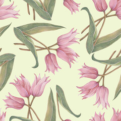 Spring seamless pattern with flowers tulip.