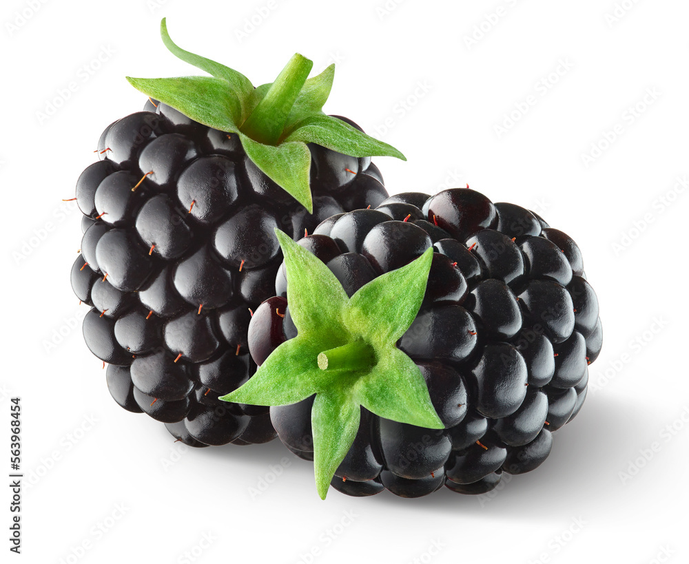 Wall mural close-up of beautiful fresh ripe blackberries isolated on white background