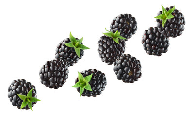 Various falling fresh ripe blackberries on white background