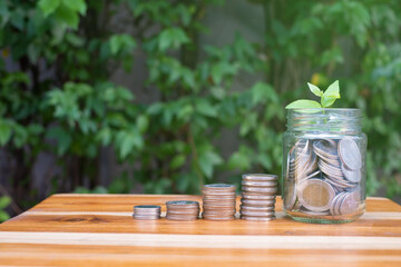 coin growing up with little sprout on top of the jar , concept of money saving, banking and investment, with wooden table and green natural background