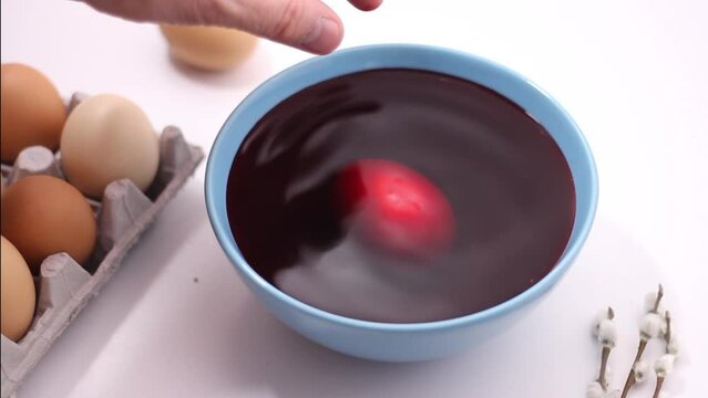 Full HD video for religious holiday happy easter. Preparation for celebration. Male hand dips boiled chicken egg into blue bowl with red liquid on white background. Eggs in tray. Coloring, paint. Farm
