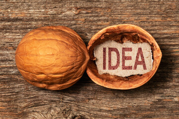 Walnut shell with a word IDEA written on piece of paper