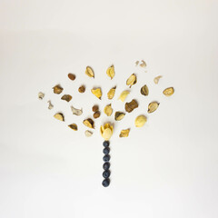 Spring Tree Blossom with beige brown leaves and blueberries on white background. Minimal Flat Lay