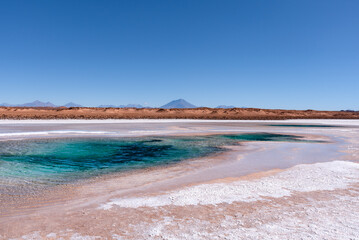Ojos del Mar em Tolar Grande