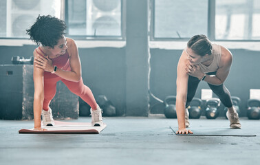 Gym floor, health and training woman doing arm plank exercise, performance workout or core muscle...