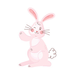 Fototapeta na wymiar cute rabbit saludating