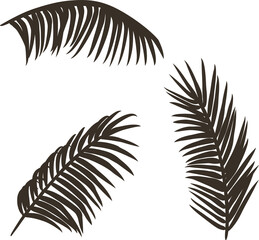 Obraz premium Set of summer surfing palm branches in different angles