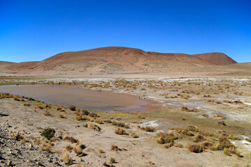 The beautiful colors of the Puna Argentina