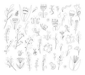 floral spring vector set isolated contour with tulips, lizard, butterfly 