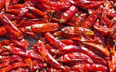 Dried spicy red chilies hot background. Food, international cuisines and worldwide travel concept.