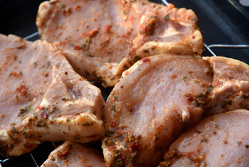 Raw pickled pork meat. Pork meat prepared for barbecue. Raw kebab. Seasoned meat.