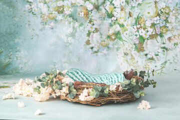 Newborn digital photography background floral and nest basket