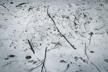 Fragments roots and branches in snow covered ground. - 563984203