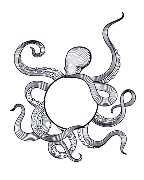 recommend clip art: Octopus holding sphere with tentacles, hand drawn vector illustration in engraving technique isolated on white background