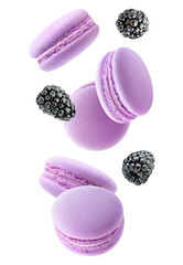 Obraz na płótnie Canvas Pink macaroons and blackberries levitation cut out
