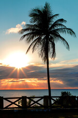 Obraz premium Brazilian beach