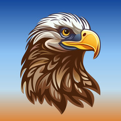Eagle head. Vector color illustration.
