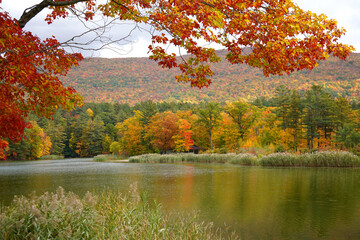 Lake surrounded by Fall color in Massachusetts